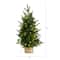 2ft. Pre-Lit Artificial Christmas Tree in Decorative Basket, Clear LED Lights